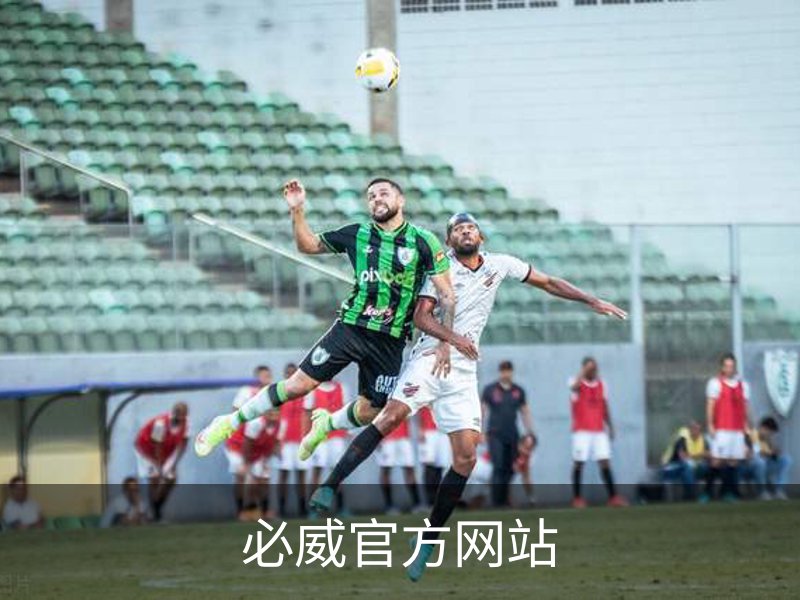 必威官方网站简介
